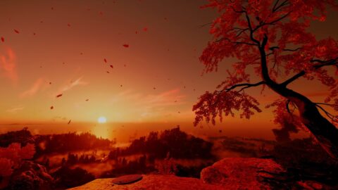 Golden Sunset Sky Tree Ghost Of Tsushima