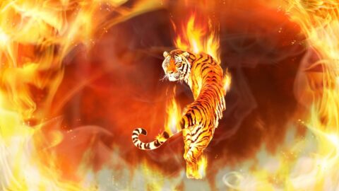 Tiger In Flames Digital Art 4K Quality – Free Live Wallpaper