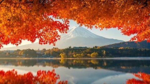 View of Mount Fuji Autumn