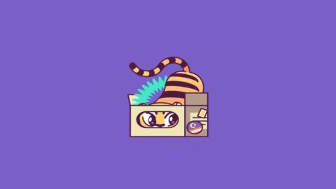 Funny Tiger In a Box – Minimalism