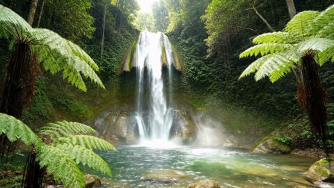 Cascade Hidden Paradise – Waterfall