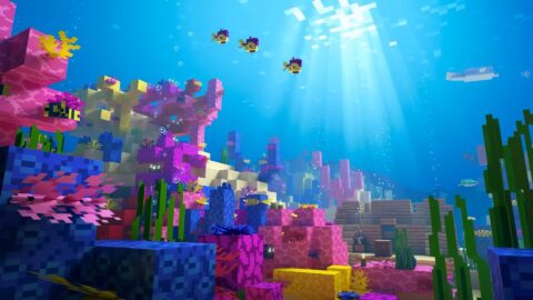 Hidden Colors of the Deep Minecraft Sea